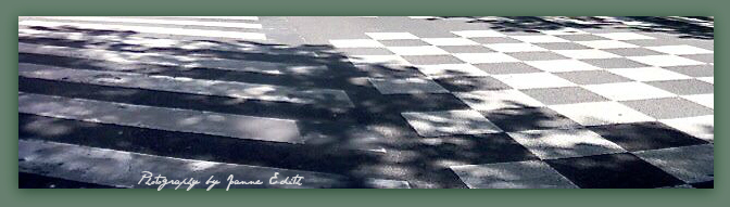Leafy Tree Shadows belie the hardness of striped and checkered intersection.